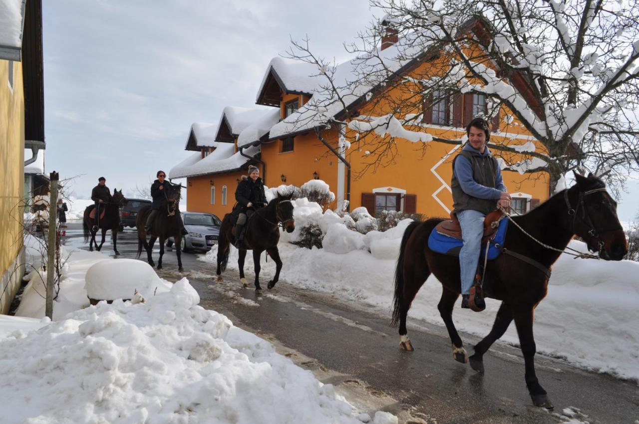 Apartments - Turisticna Kmetija Vrbnjak Ljutomer Kültér fotó